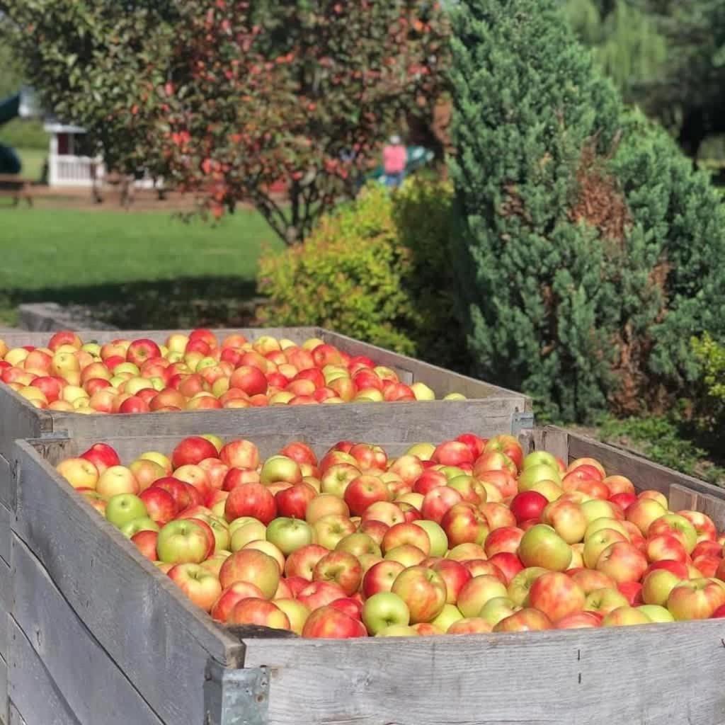אשטבולה The Cortland Cottage At Brant'S Apple Orchard מראה חיצוני תמונה
