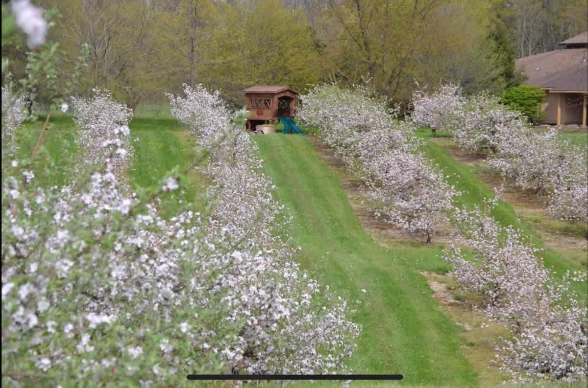 אשטבולה The Cortland Cottage At Brant'S Apple Orchard מראה חיצוני תמונה